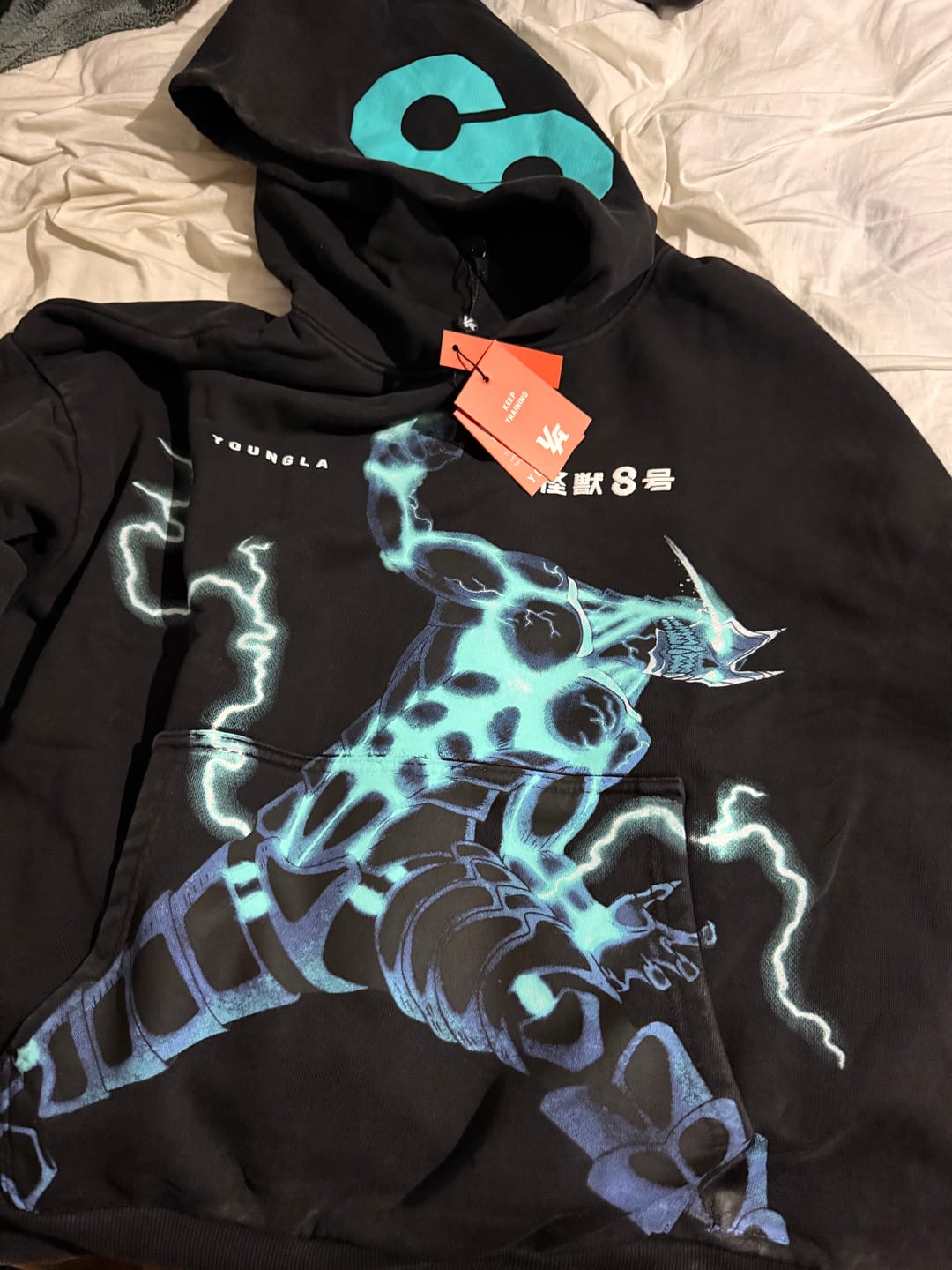 Customer photo review of 5015 - Kaiju No. 8 Graphic Hoodies