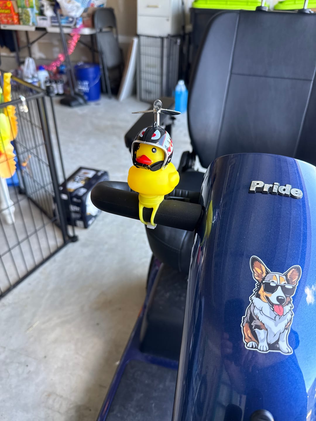 Customer photo review of Duck Scooter Bell