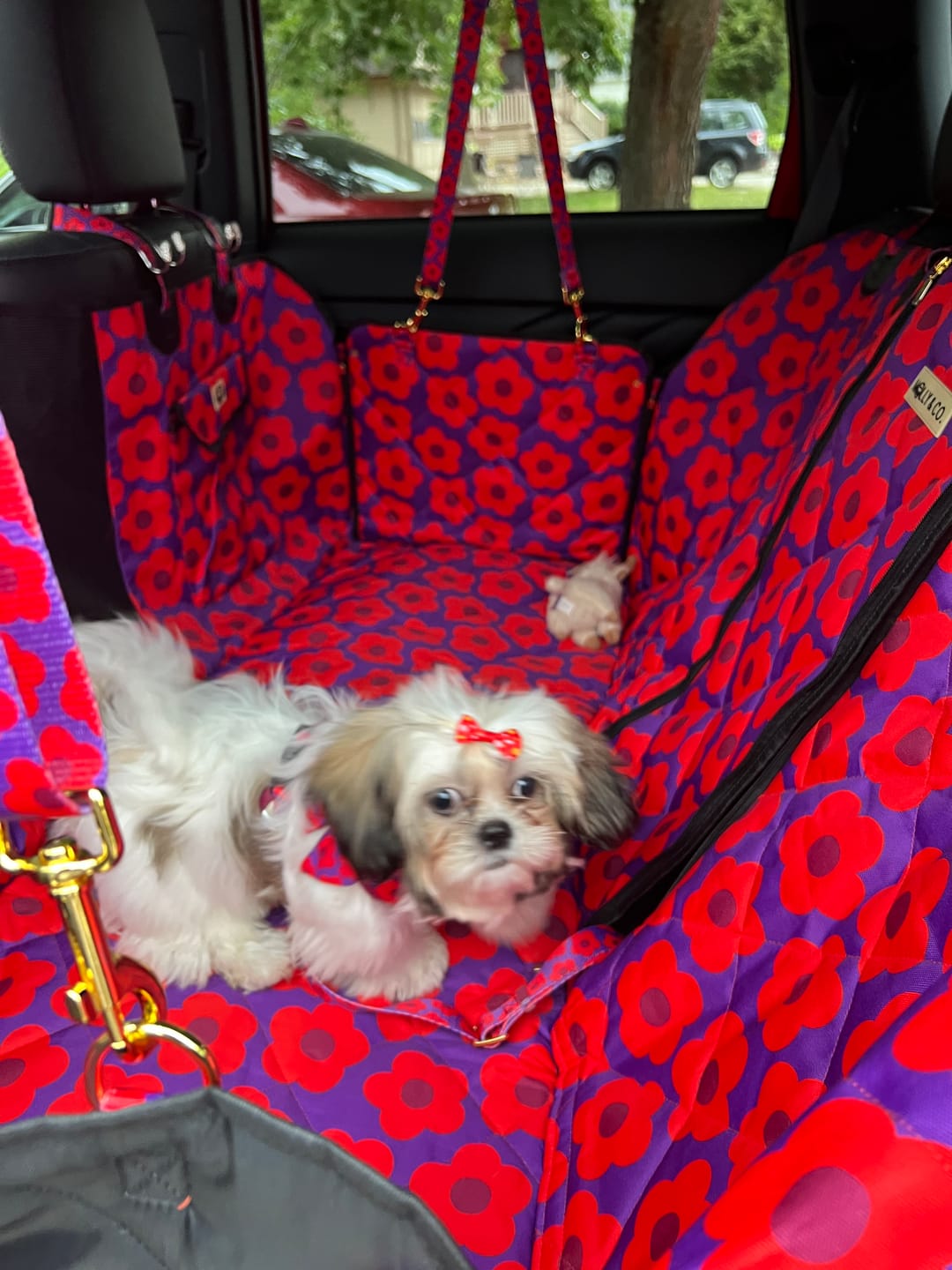 Customer photo review of Mon Chéri - Dog Car Seat Cover
