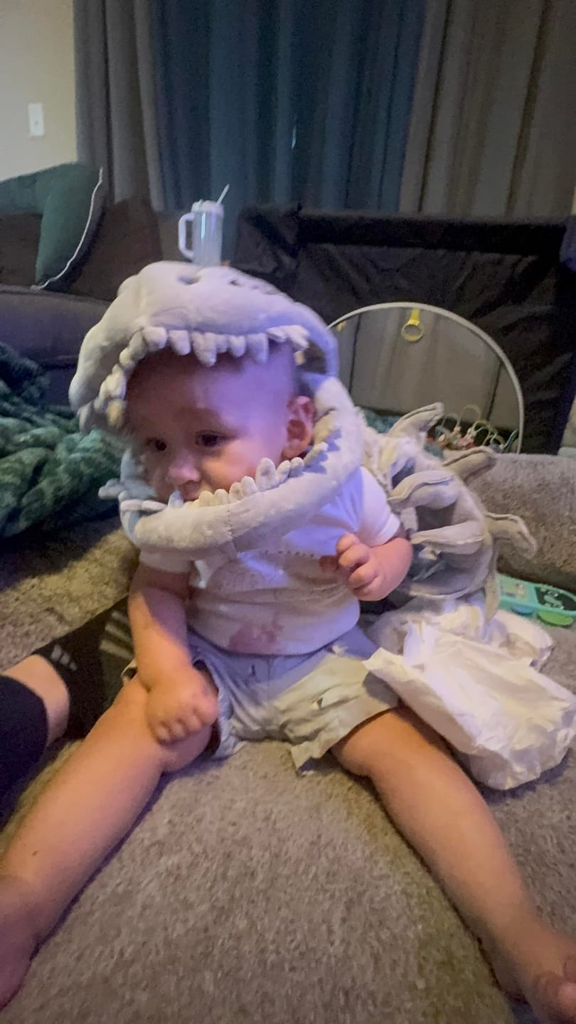 Customer photo review of Ashton SnuggleSaurus