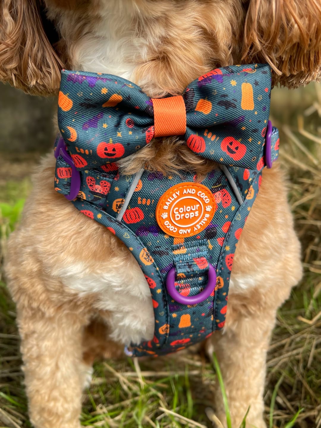 Customer photo review of Bow Tie - Colour Drops - Spellbound Autumn