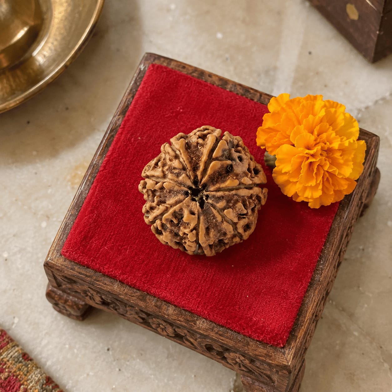 Customer photo review of 7 Mukhi Rudraksha (Nepali)