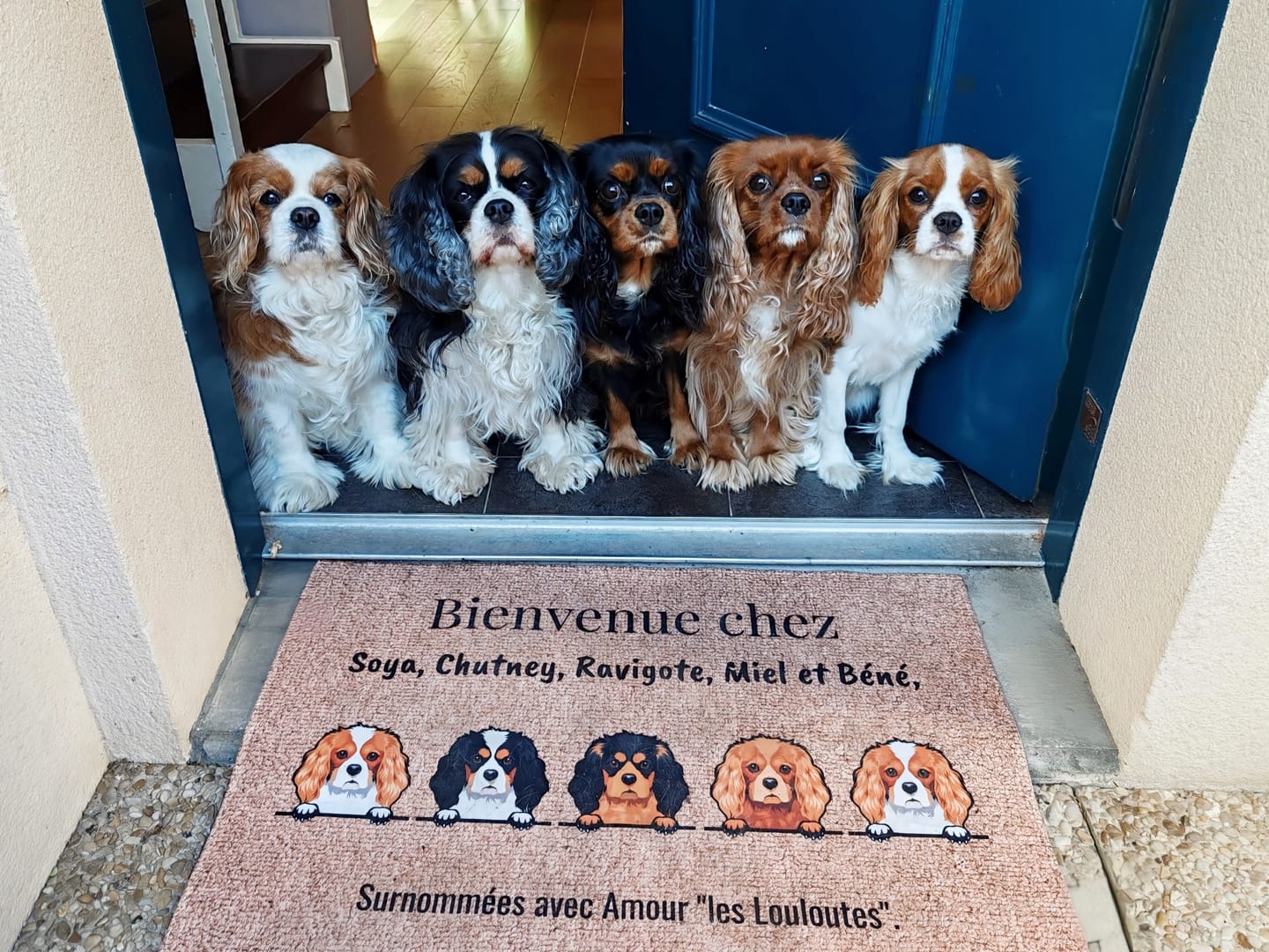 Customer photo review of Bienvenue chez - Paillasson personnalisé