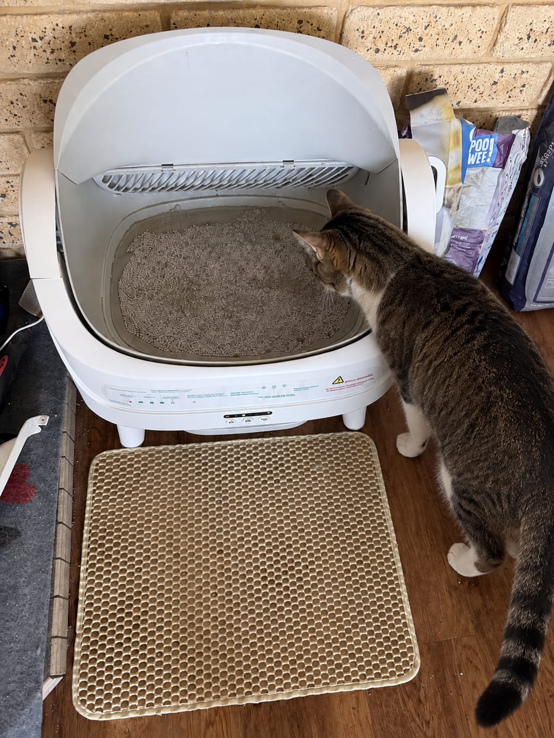Customer photo review of Petbuds™ Open One App Monitoring Self-Cleaning Litter Box with Open Design