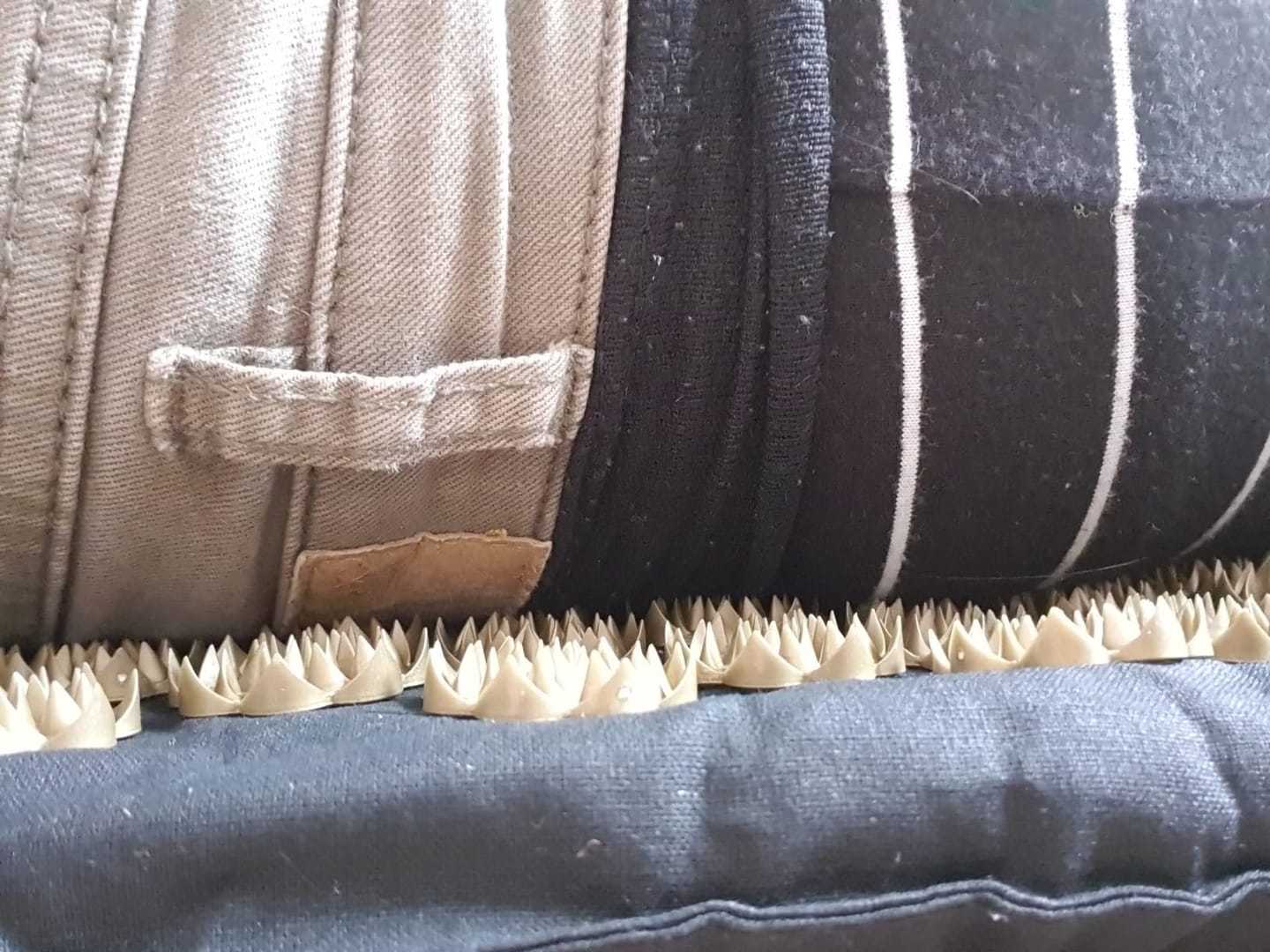 Customer photo review of Alivia Tapete ProGradual