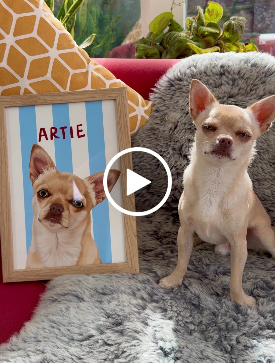 Customer video review of Stripy | Custom Pet Portrait