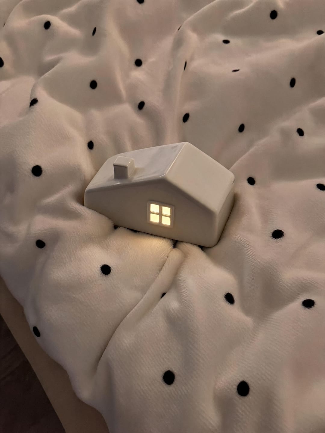 Customer photo review of Forever Home — Lighted Ceramic Pet Urn