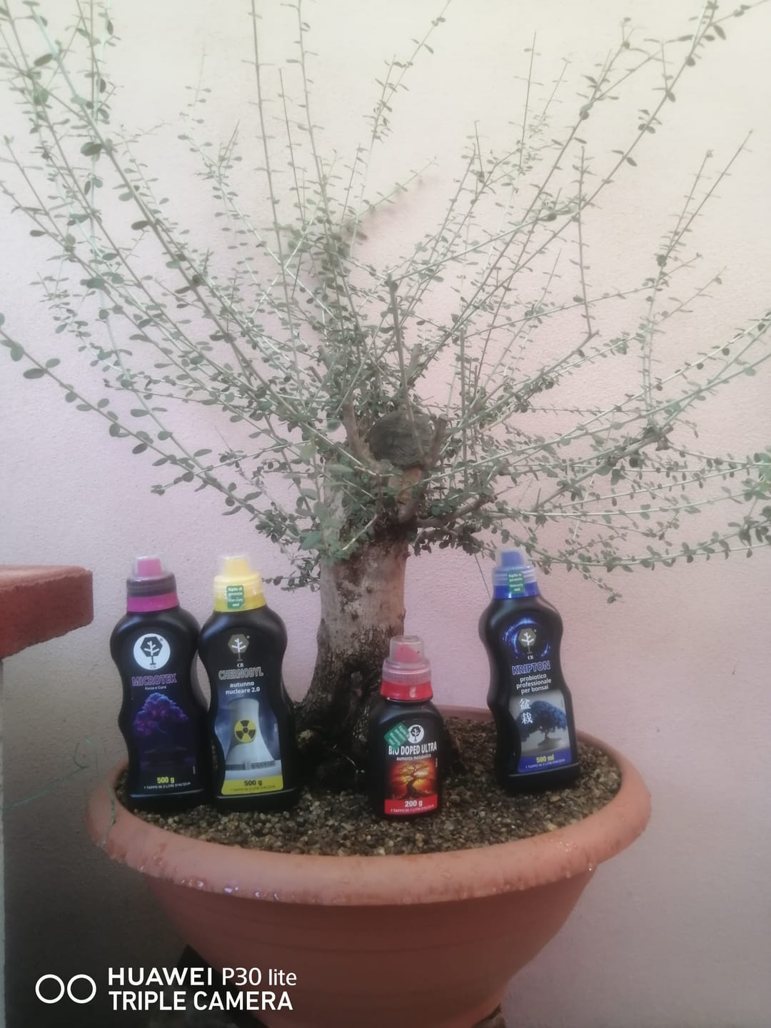 Customer photo review of PACK COMPLETO CONCIMAZIONE AUTUNNALE