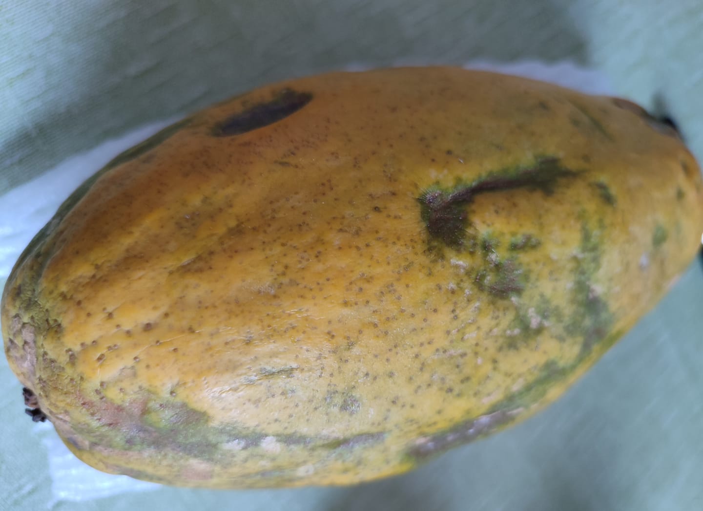Customer photo review of Papaya Naturbelassen von Julian Wochenaktion %