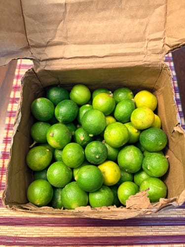 Customer photo review of Organic Key Limes 3 lbs