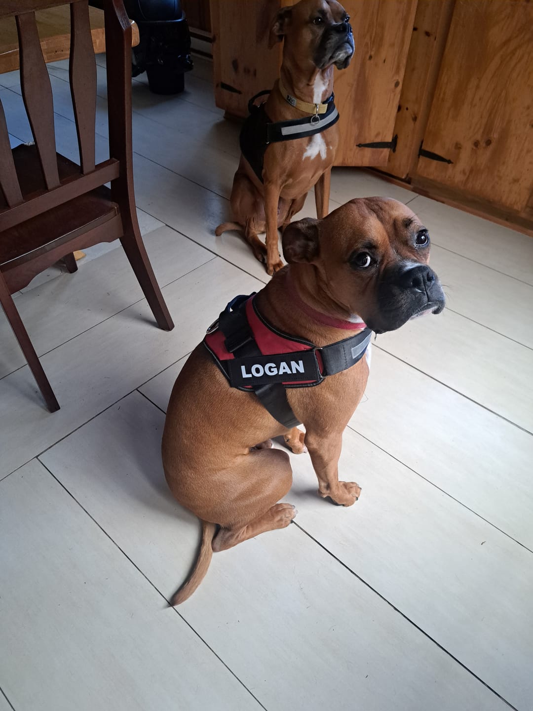Customer photo review of Extra Nickname Patch