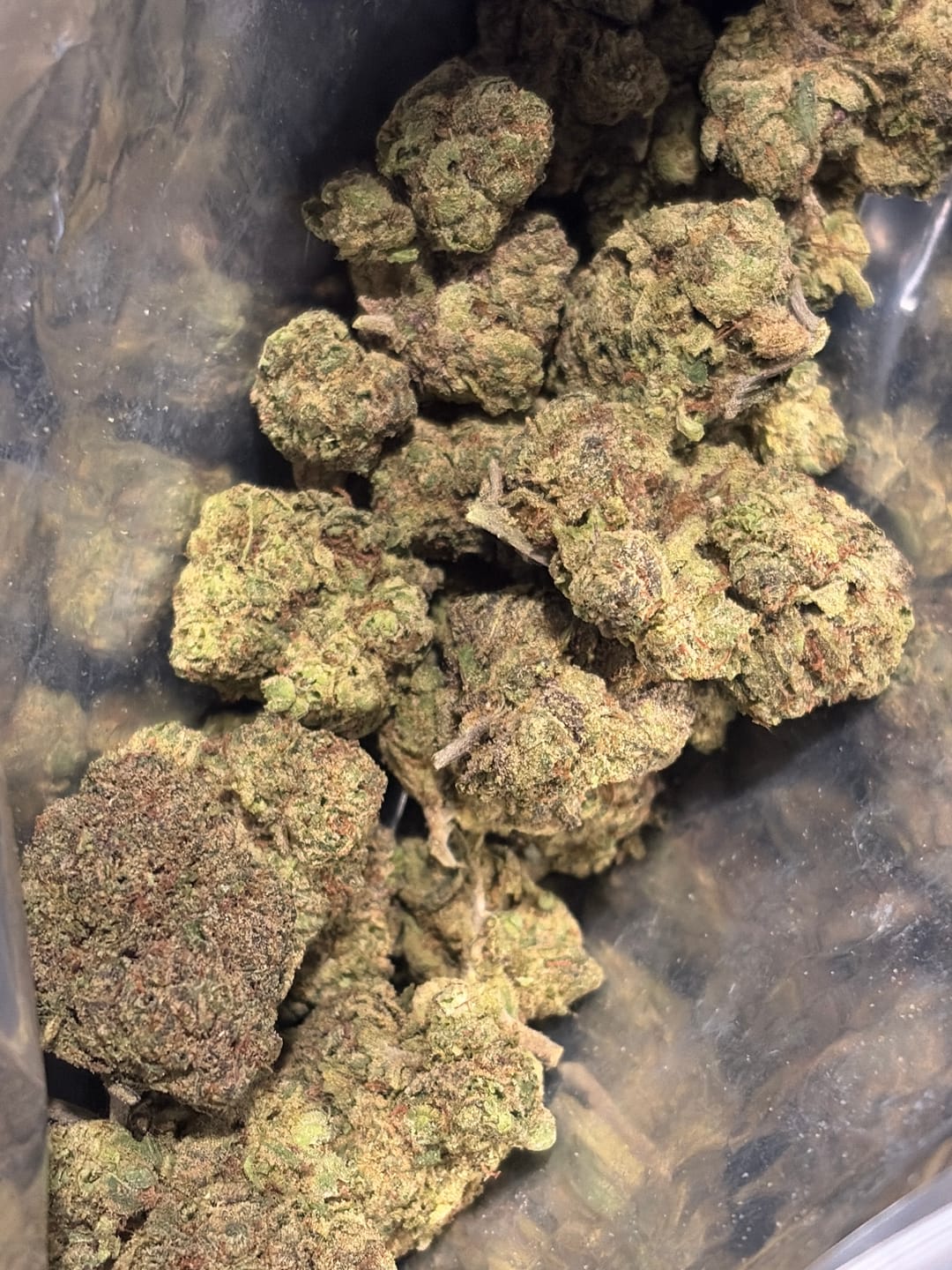 Customer photo review of Toadlato THCA Flower