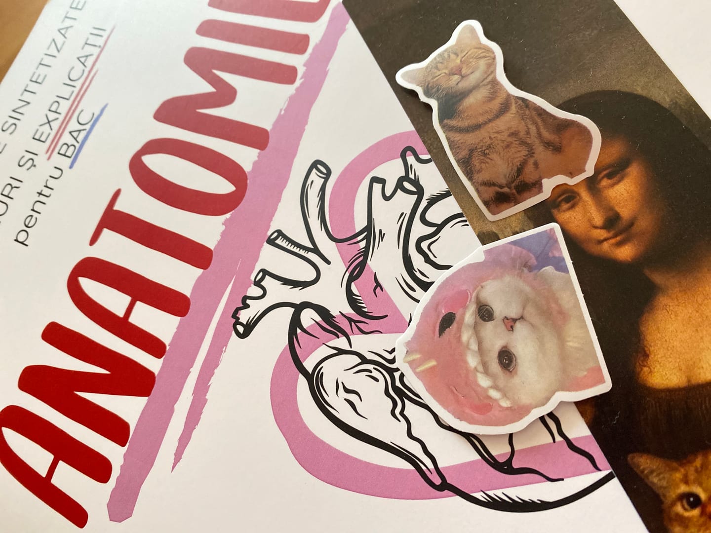 Customer photo review of Carte Anatomie Bacalaureat (Biologie clasele XI-XII) Bacademia