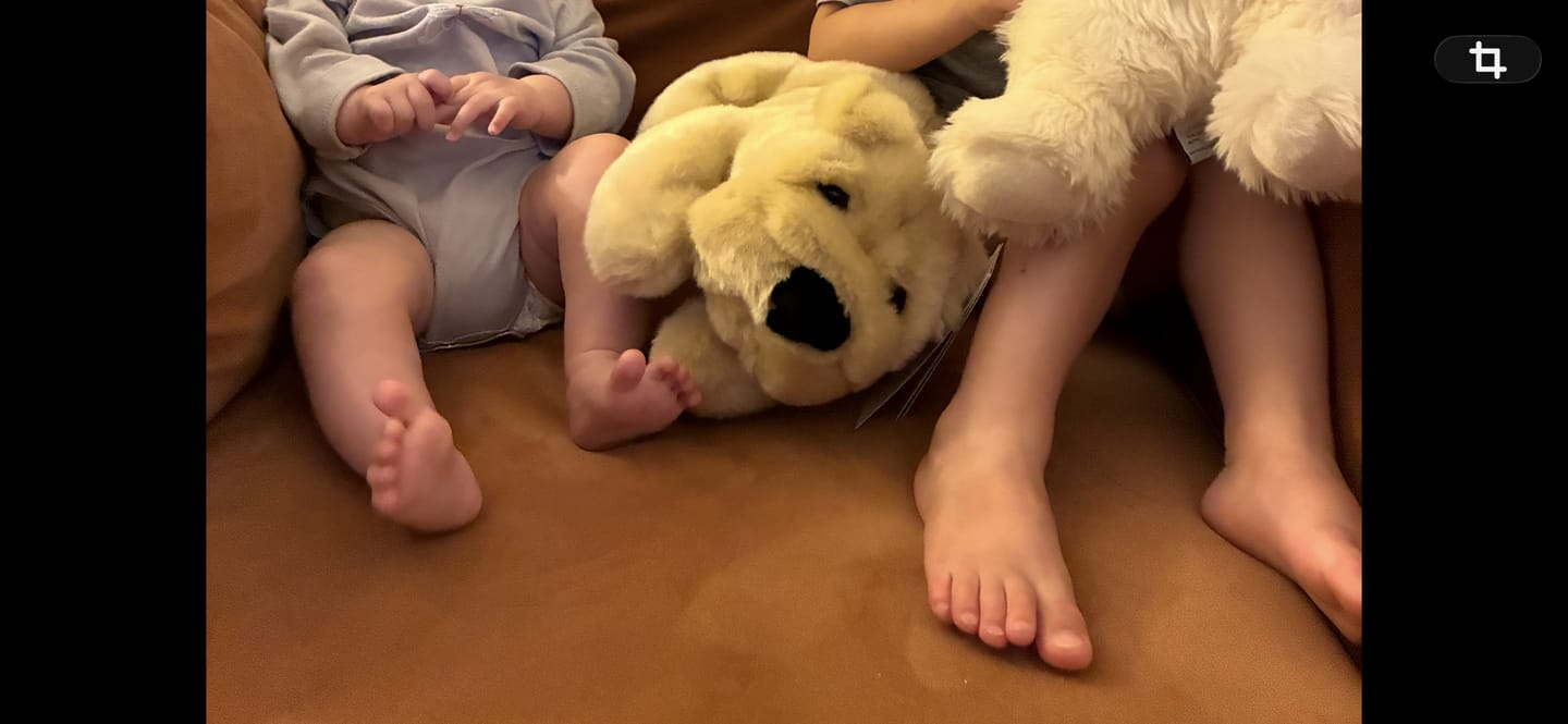Customer photo review of Ma peluche Chien Hector