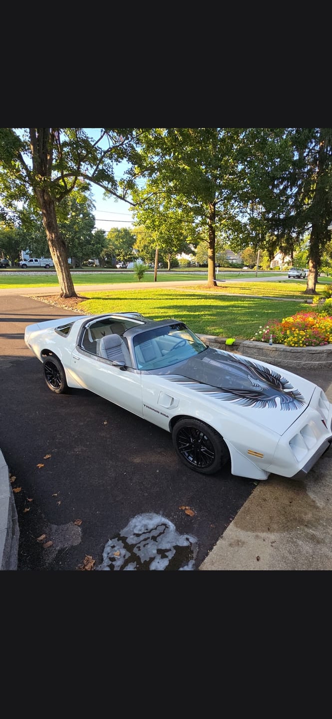 Customer photo review of Diamond Shine Glass Cleaner