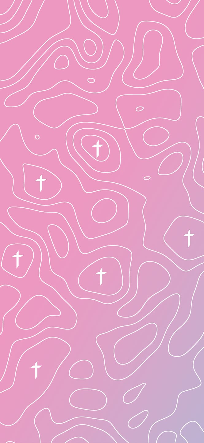 Customer photo review of Topo Wallpaper Bundle