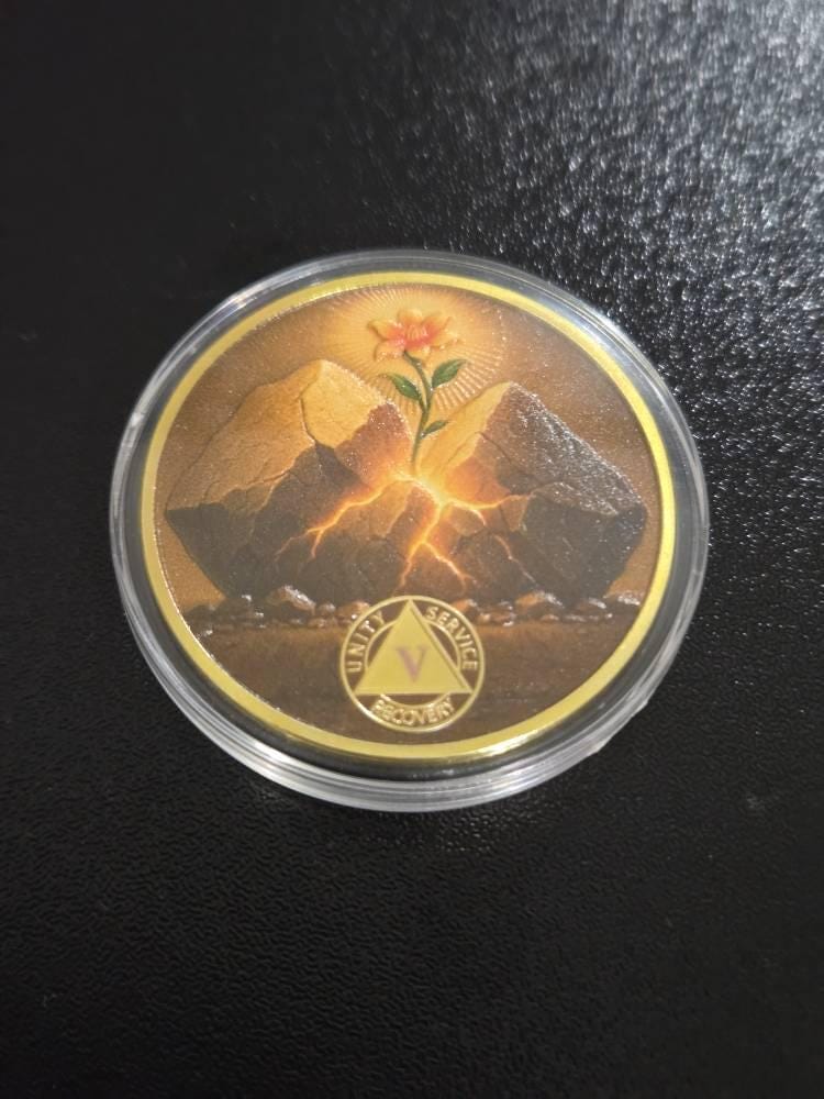 Customer photo review of Personalized Hope in the Crack Sobriety Coin – Personalize Any Day, Month or Year