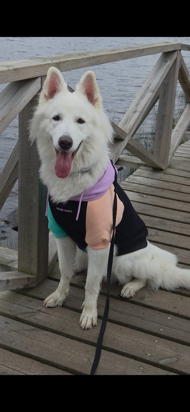 Customer photo review of Cyber Punk Dog Hoodie