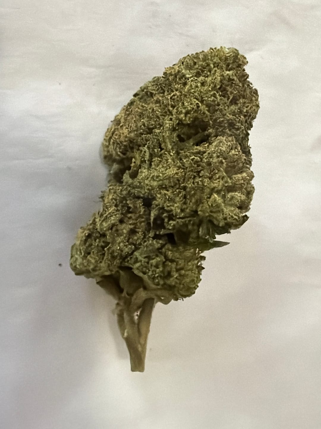 Customer photo review of Blue Nerdz Light Assist THCA