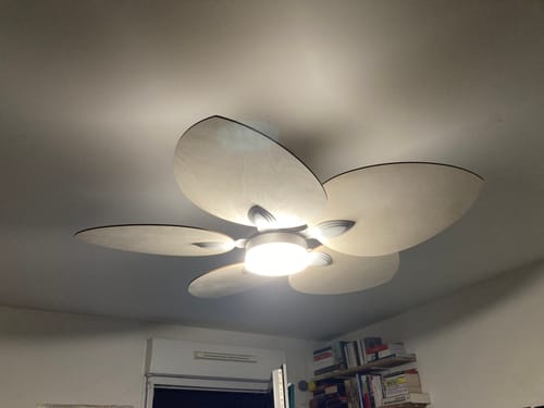 Customer's Dahlia ceiling fan with light installed and glowing, featuring light wooden petal-shaped blades.