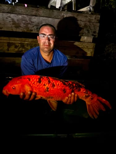 Customer photo review of BAIT SMOKE - TROPICAL