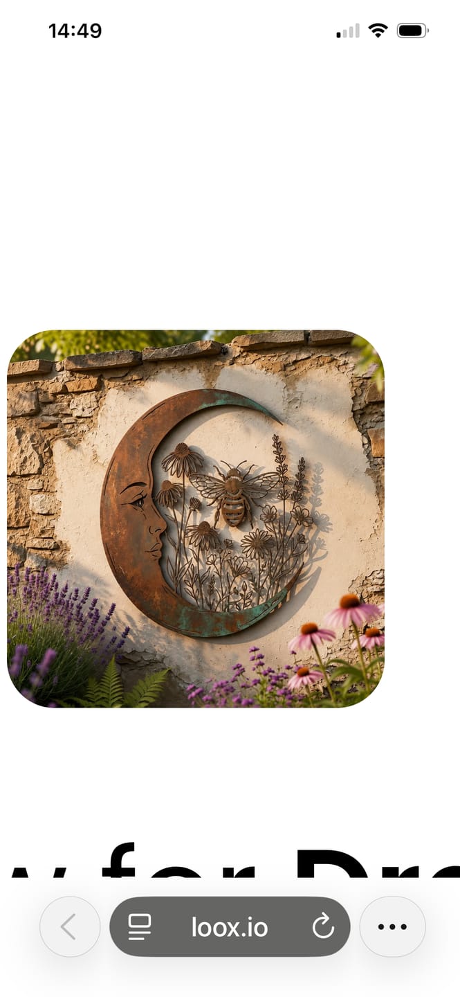 Customer photo review of Dragonfly Moon Wall Decor