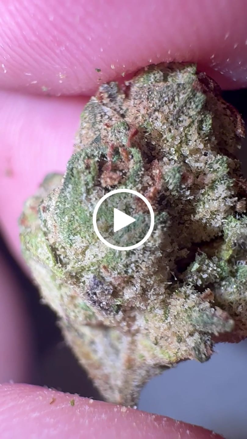Customer video review of Bulk THCA Micros