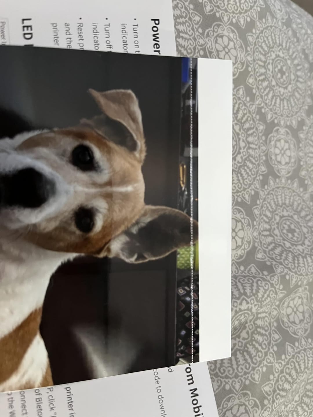 Customer photo review of PortaSnap - Wireless Photo Printer