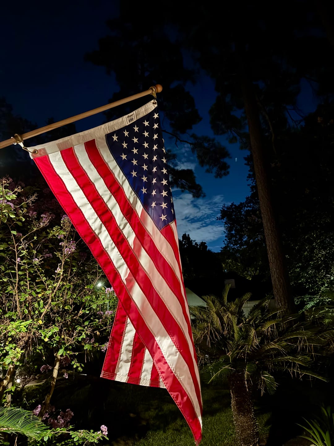 Customer photo review of 3' x 5' American Flag Set