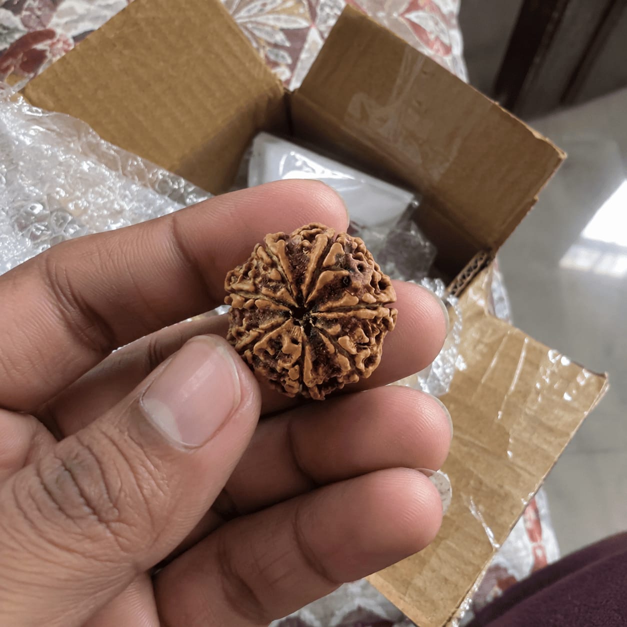 Customer photo review of 7 Mukhi Rudraksha (Nepali)