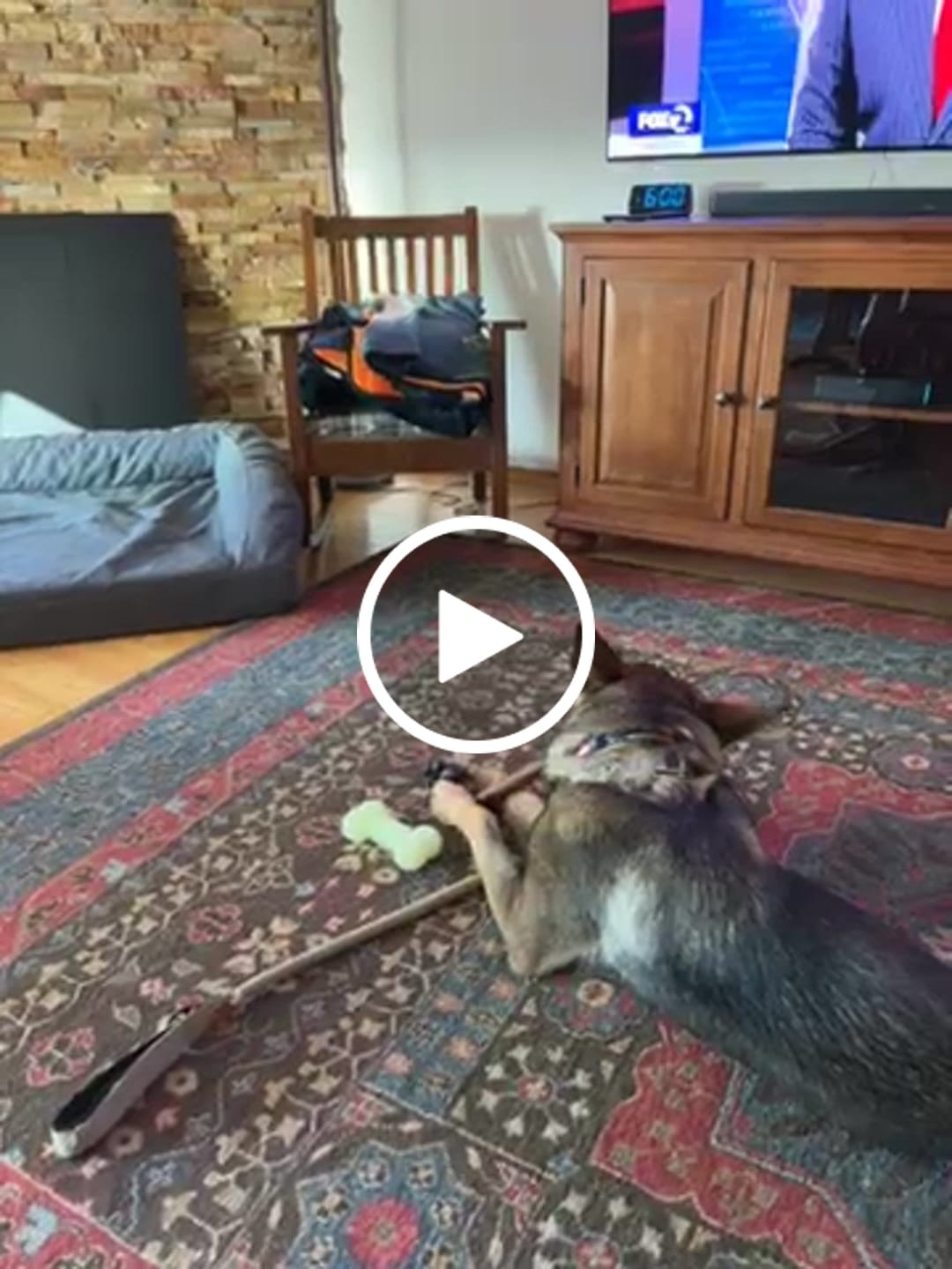 Customer video review of Monster Super Bull Sticks