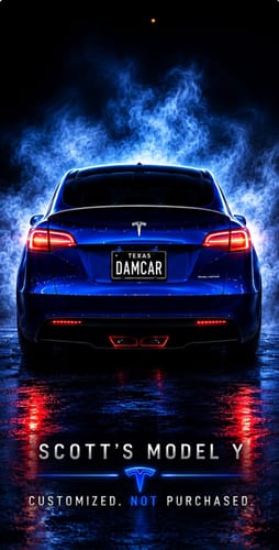 Customer photo review of Sequential Rear Fog Lights For Tesla Model S 2017-2022