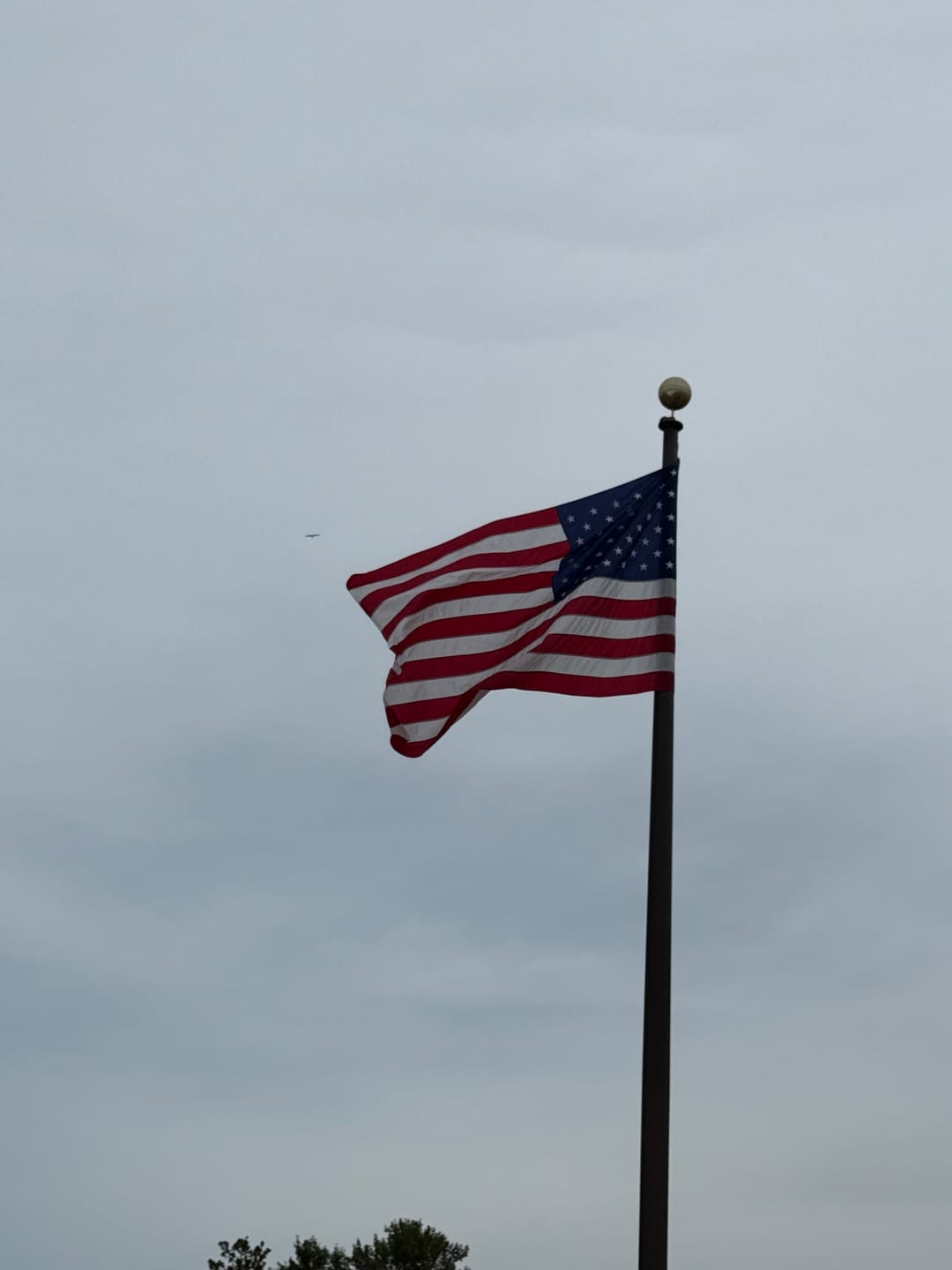 Customer photo review of 5' x 8' American Flag