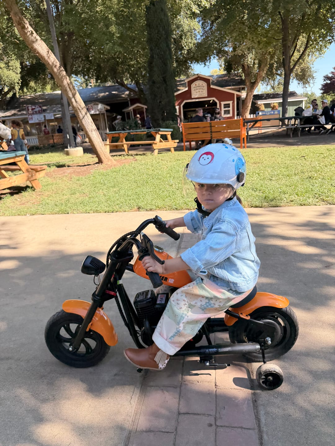 Customer photo review of Cruiser 12 Plus