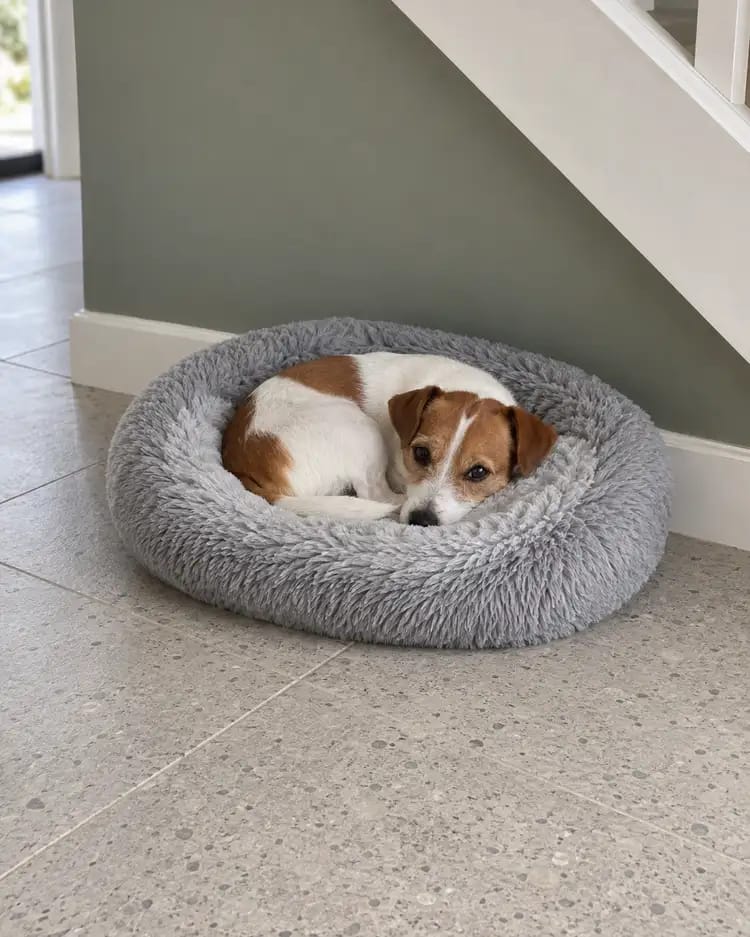 Customer photo review of SnuggleSoft Orthopedic Calming Pet Bed