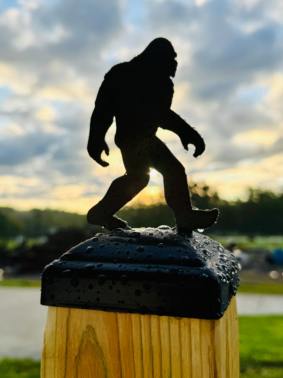 Customer photo review of Bigfoot Walking Post Cap (Multiple Post Sizes Available)
