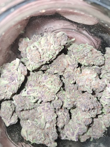 Customer photo review of Tropicana Cherry THCA Flower