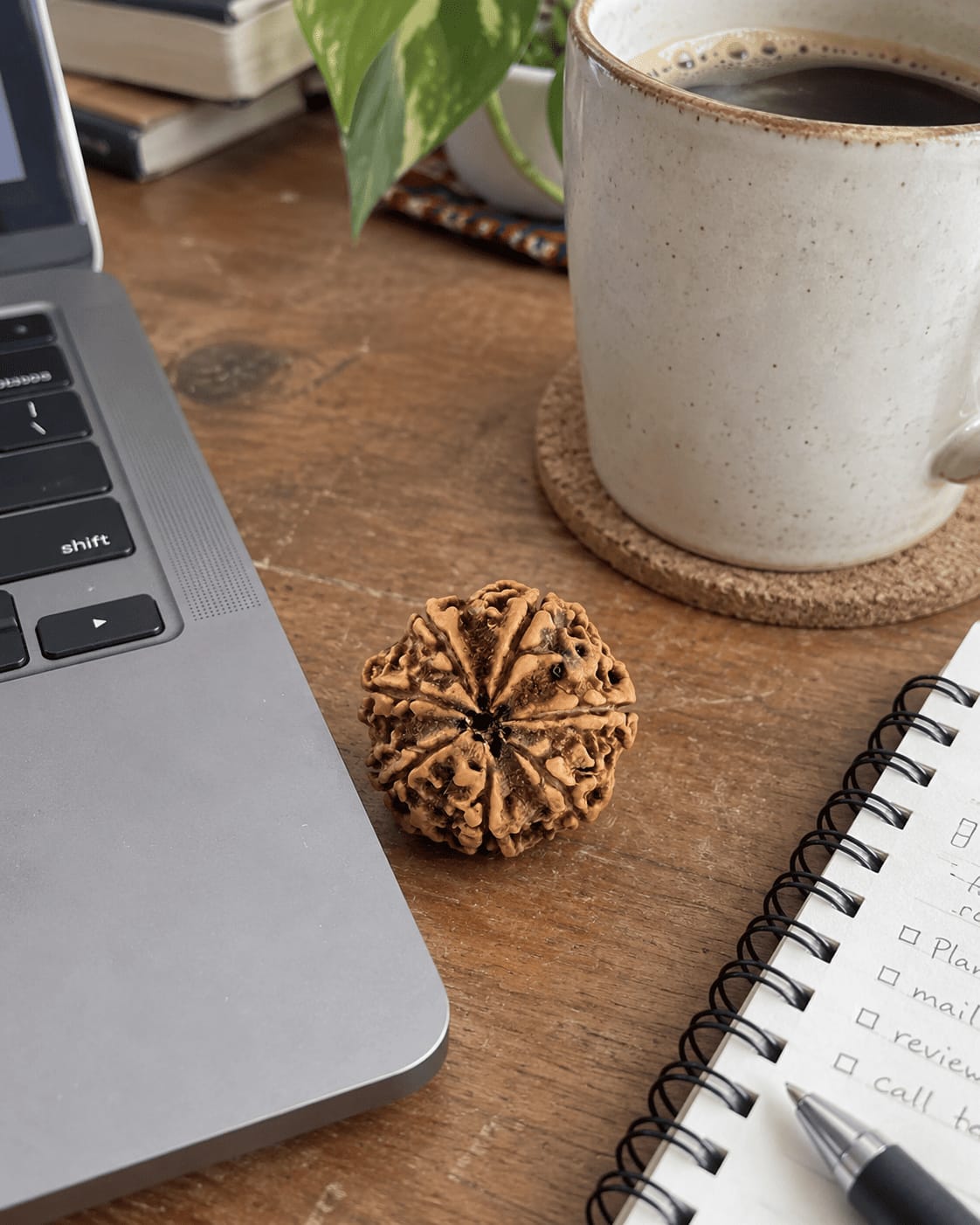 Customer photo review of 7 Mukhi Rudraksha (Nepali)