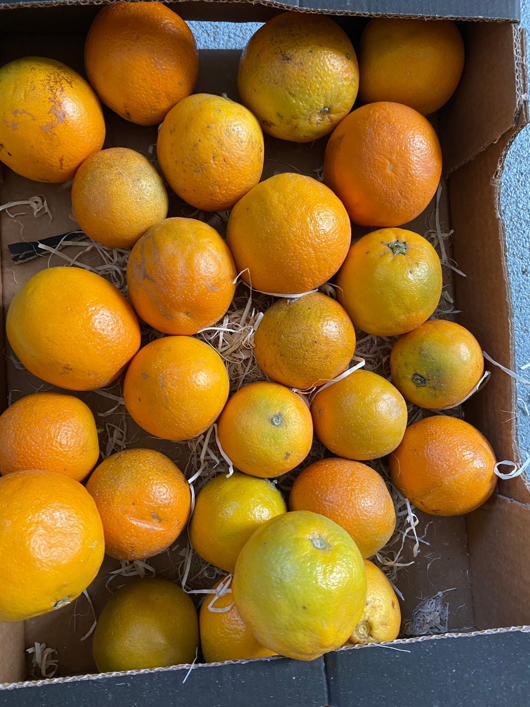Customer photo review of Orangen Lane Late Bio von Apostolis Kreta 4kg Box