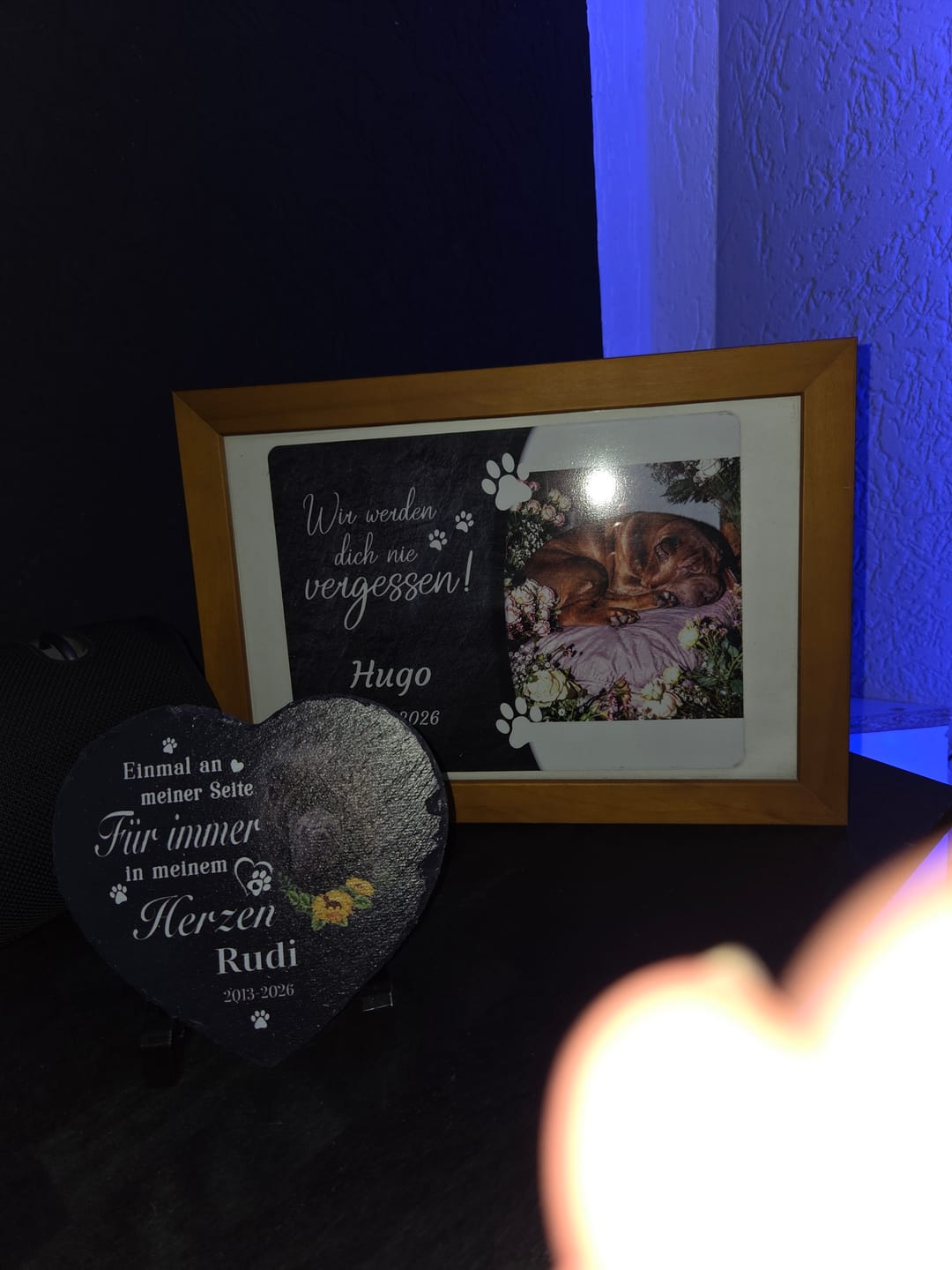 Customer photo review of Hunde Gedenktafel mit Foto & Spruch (UV- &  Wetterfest)