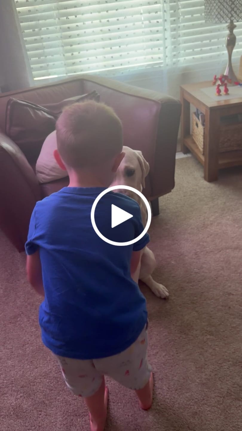 Customer video review of Whole Grain Original Base Mix