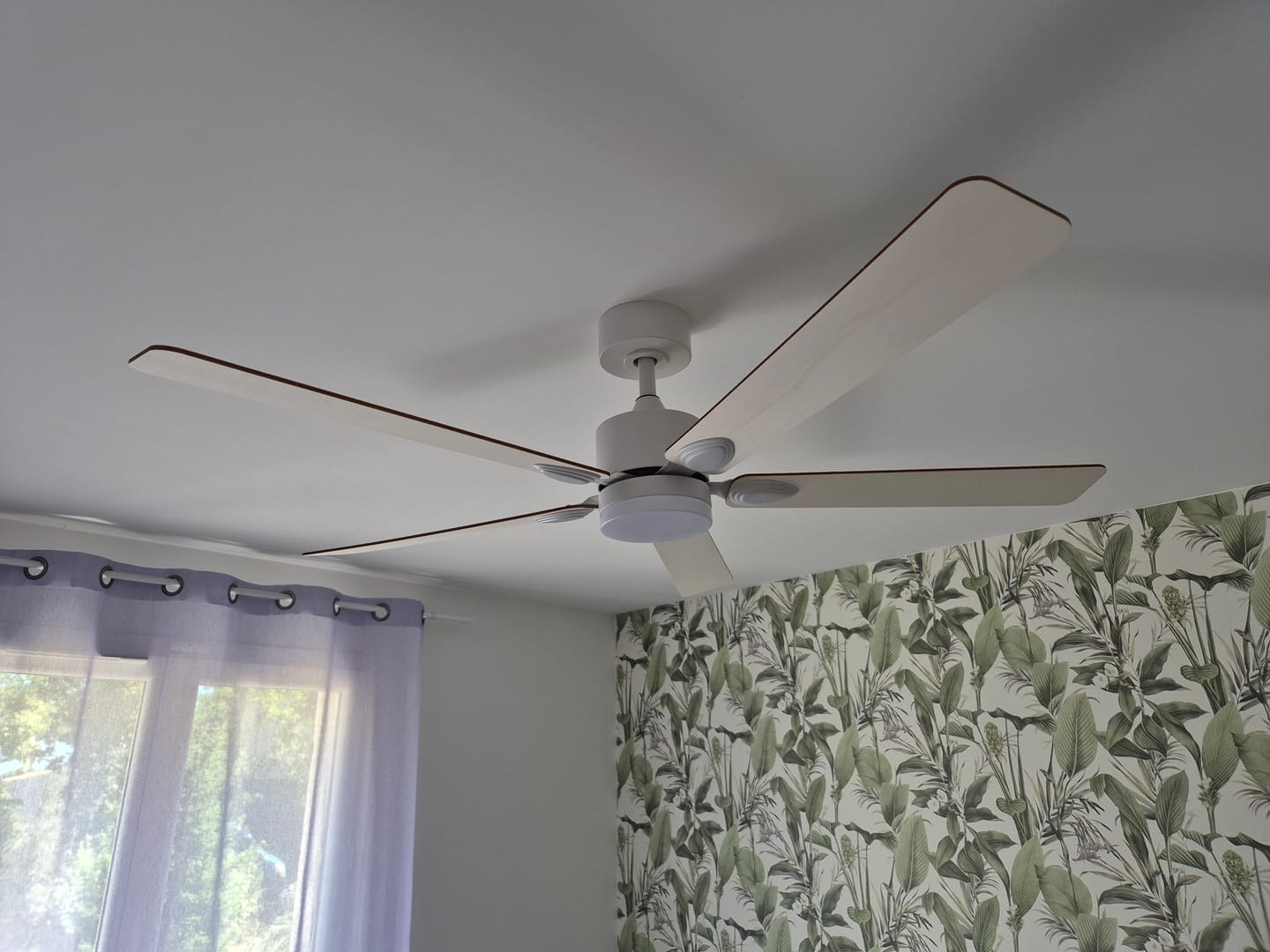Customer photo review of Mistral | Ventilateur de plafond – Ø 141 cm