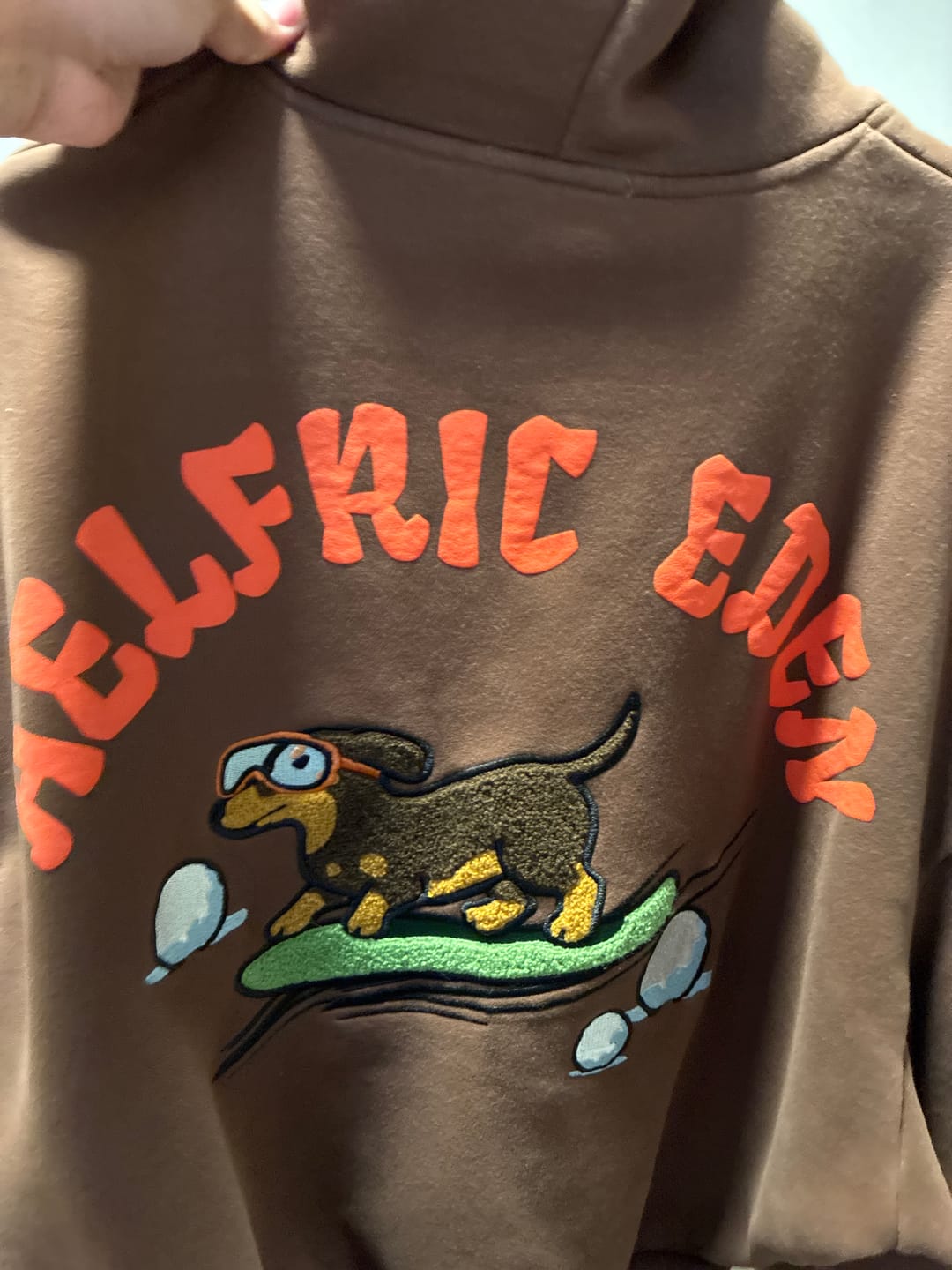 Customer photo review of Aelfric Eden Boxy Dachshund Hoodie