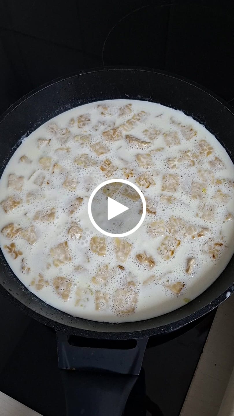 Customer video review of Traditional Tempeh