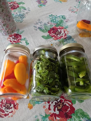 Reviewer's Mason Genie Vacuum Sealer Kit used on three jars of fresh produce on a floral tablecloth.