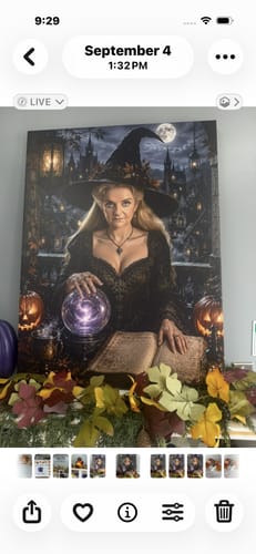 Customer's The Enchantress canvas portrait of a woman in a witch costume with a crystal ball and spellbook.