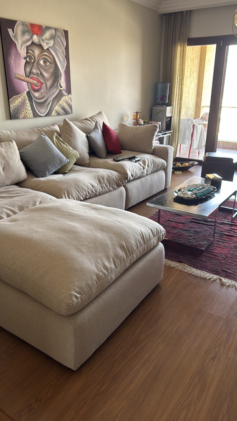 Customer photo review of Sink-down L-Shape Sofa