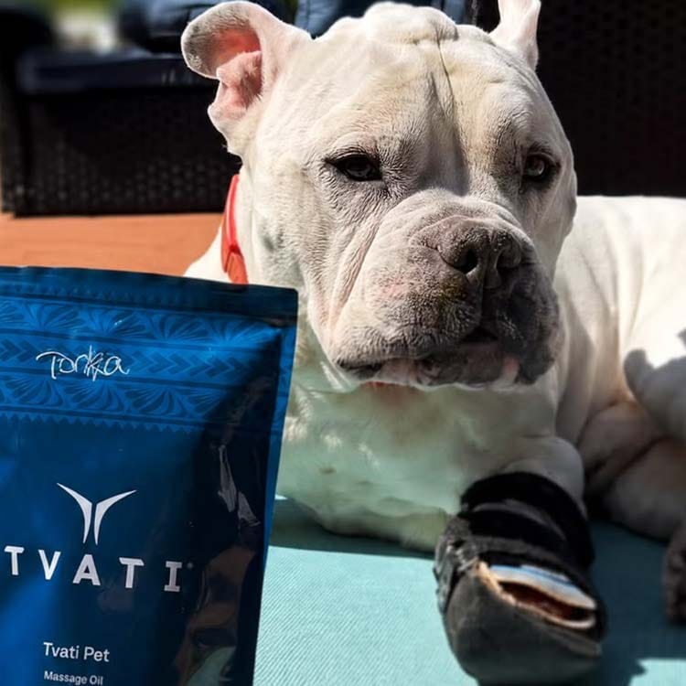 Customer photo review of Tvati Pet