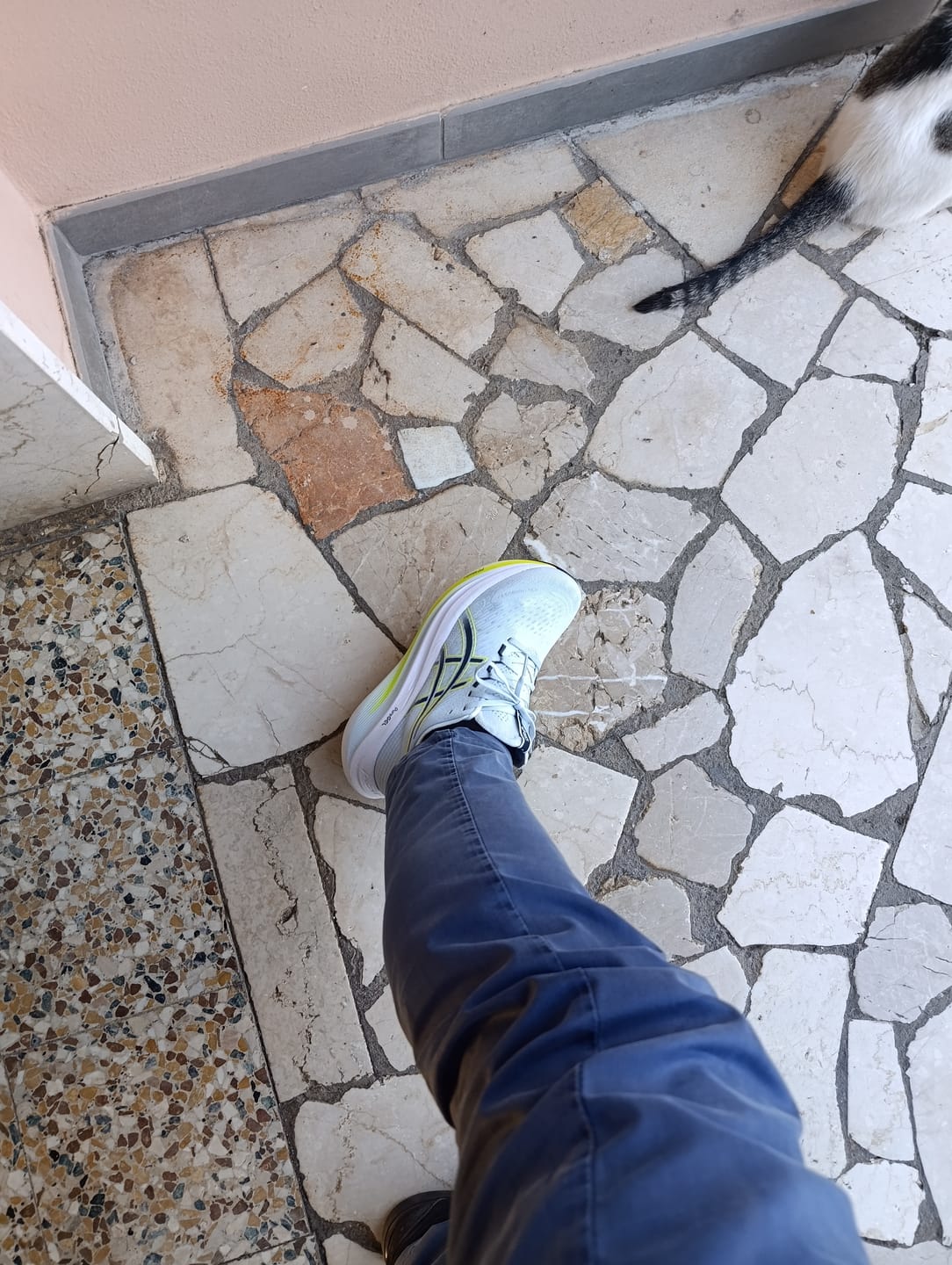 Customer photo review of GEL NIMBUS 27 M