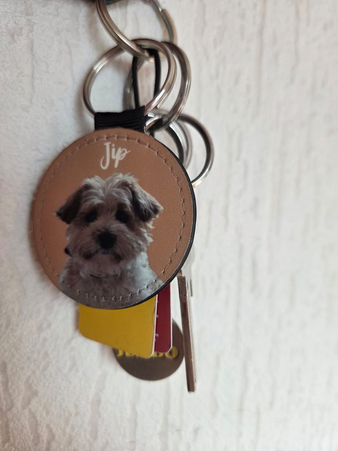 Customer photo review of Huisdier portret - Gepersonalliseerde sleutelhanger